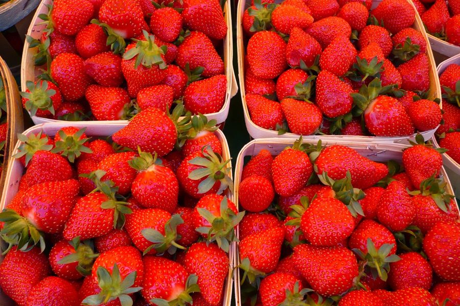 Vineyards and Villages of Provence - 8 Days food